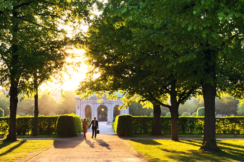 man walking near bushes